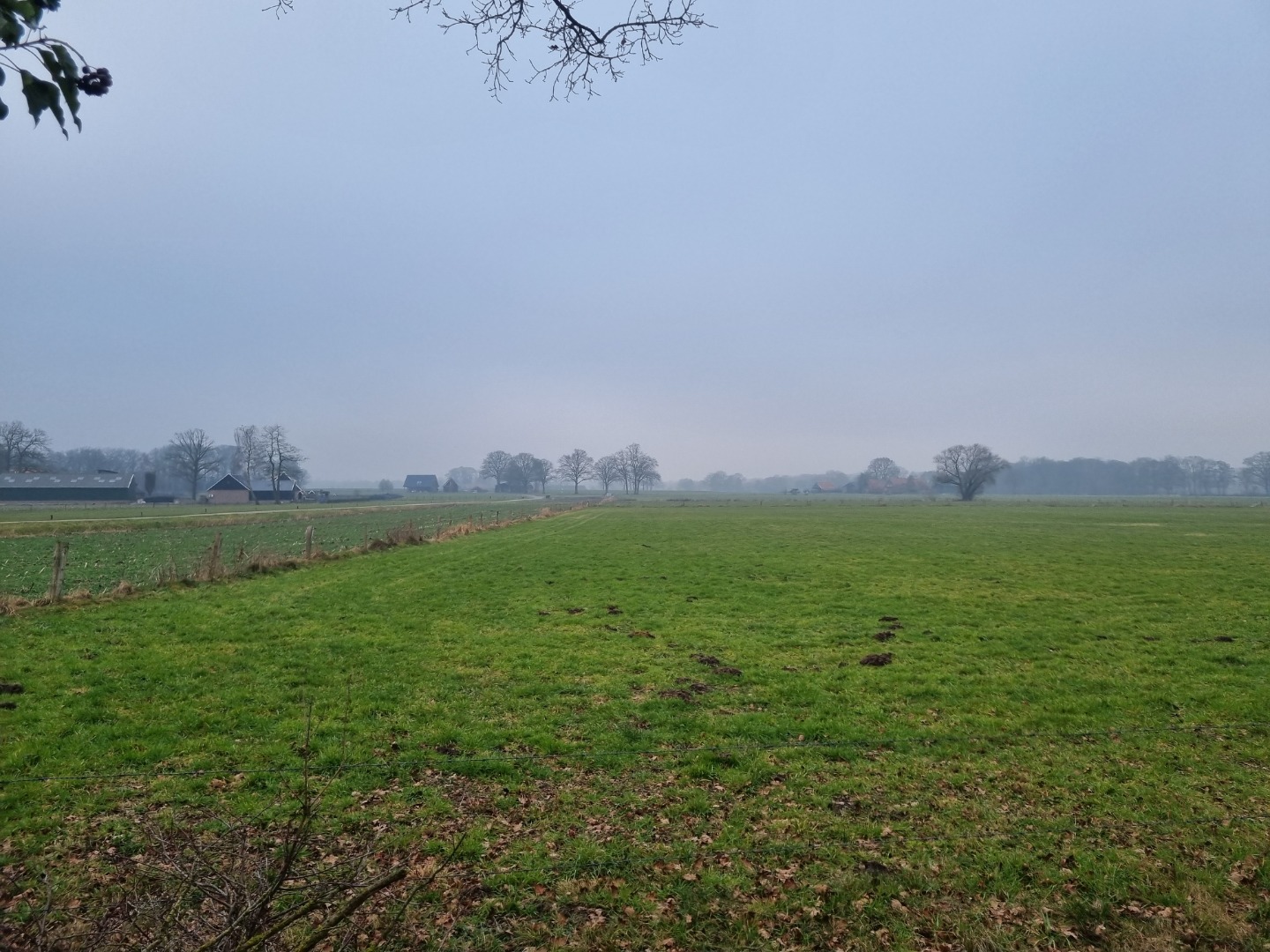 Beuningen - nabij Matenweg en Holsterheurneweg